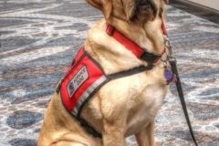 41660025_2117791788284850_2412276976027959296_o_2117791781618184